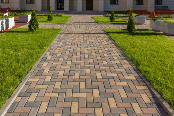 Best Driveway Paving Near Me  in Cleveland, NC